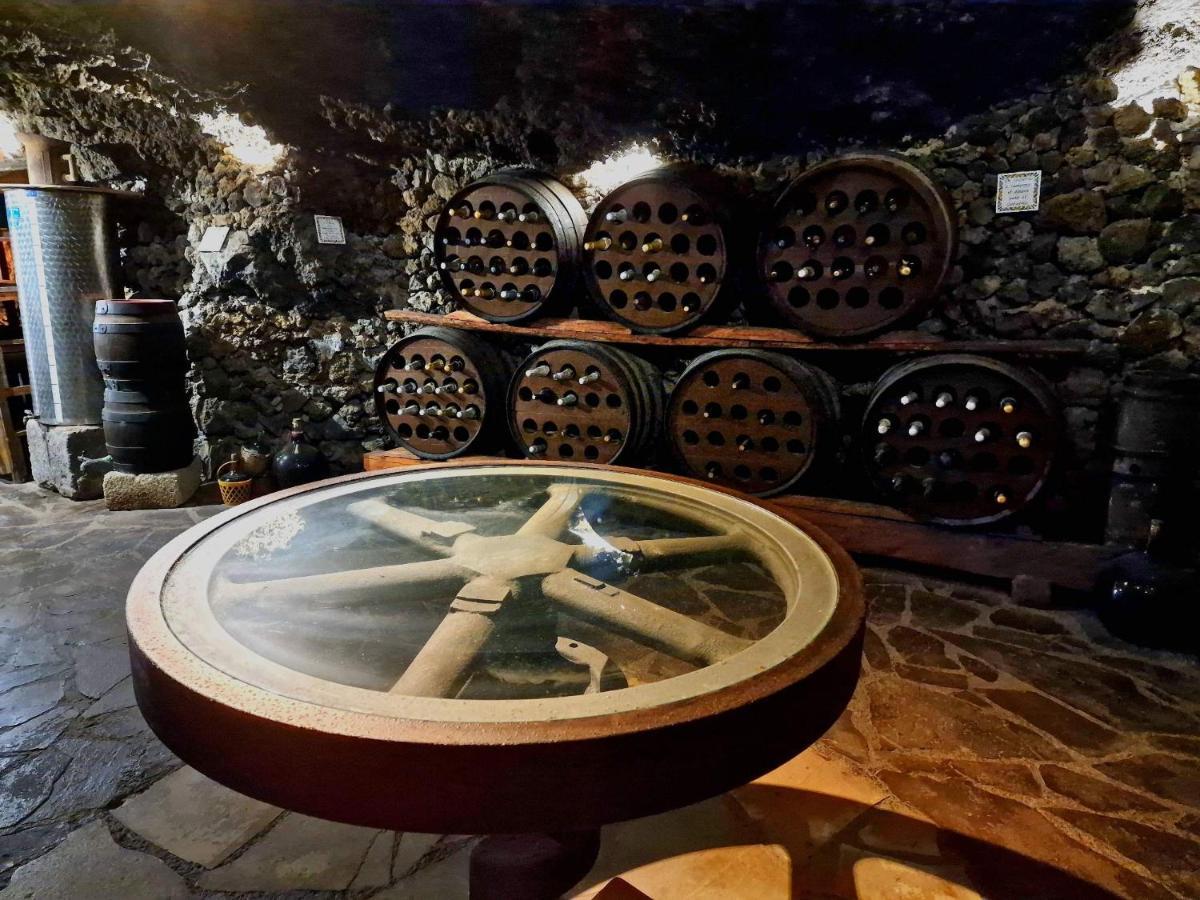 Finca Los Loros Icod De Los Vinos By Hrtenerife Net Santa-Cruz de Ténérife Extérieur photo